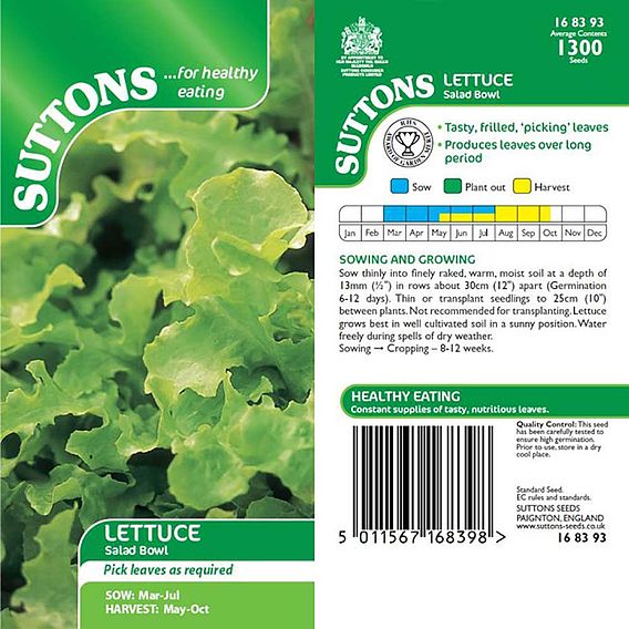 Lettuce 'Salad Bowl' - Seeds
