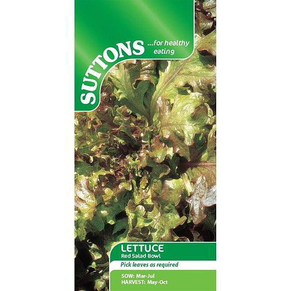 Lettuce 'Red Salad Bowl' - Seeds