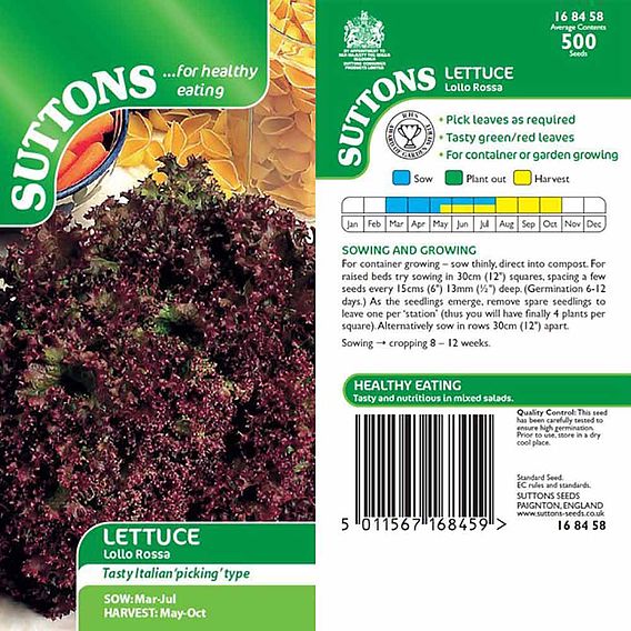 Lettuce Seeds - Lollo Rossa