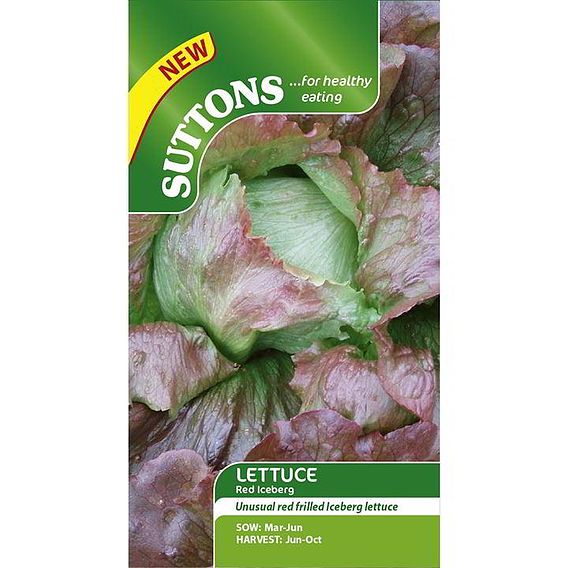 Lettuce Seeds - Red Iceberg