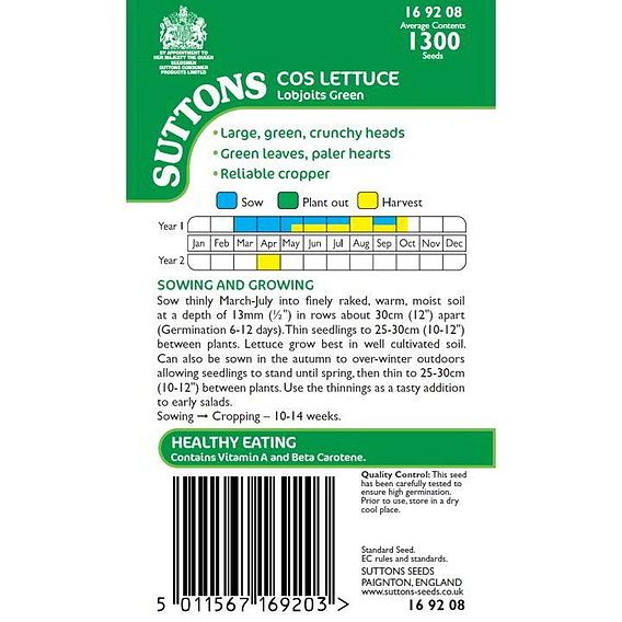 Lettuce 'Lobjoits Green' - Seeds