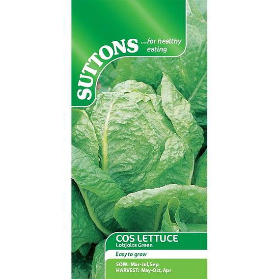 Lettuce Seeds - Lobjoits Green