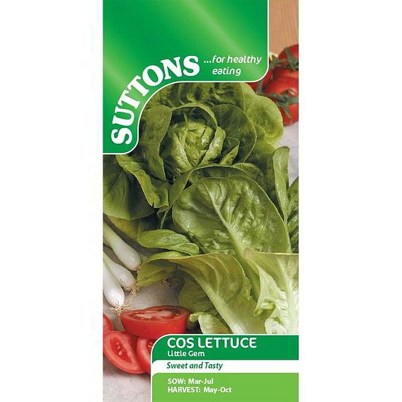 Lettuce 'Little Gem' - Seeds