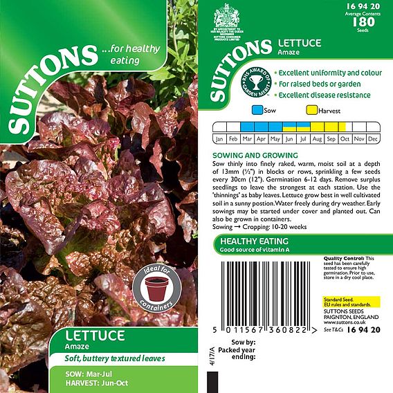 Lettuce 'Amaze' - Seeds