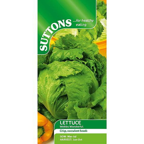 Lettuce 'Webbs Wonderful' - Seeds