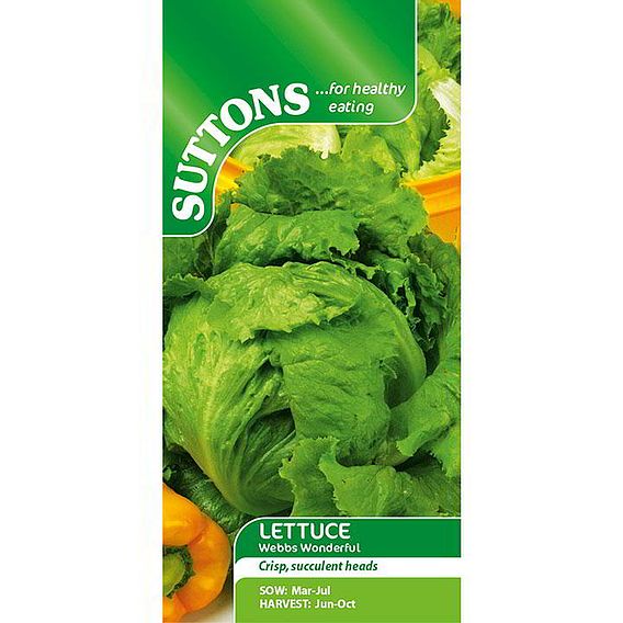 Lettuce Seeds - Webbs Wonderful