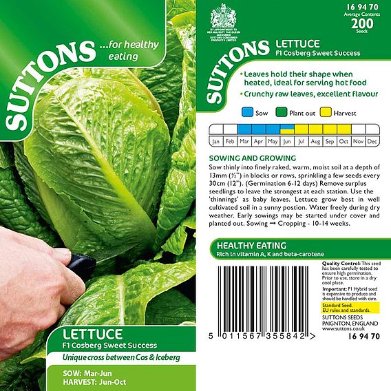 Lettuce Seeds - F1 Cosberg Sweet Success