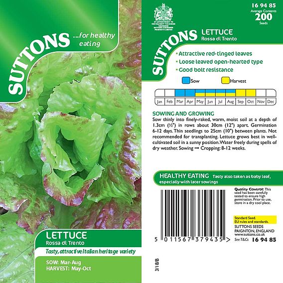Lettuce 'Rossa di Trento' - Seeds