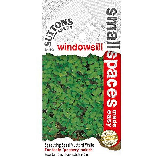 Mustard 'White' - Seeds