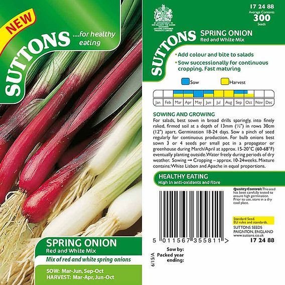 Onion (Salad) Seeds - Red & White Mix