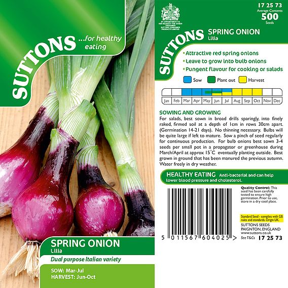 Onion (spring) 'Lilia' - Seeds
