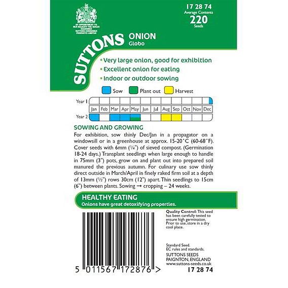 Onion 'Globo' - Seeds