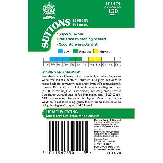 Onion F1 'Santero' - Seeds
