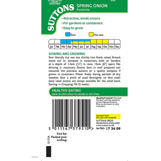 Onion 'Purplette' - Seeds