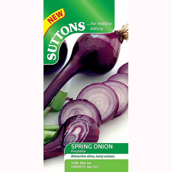 Onion Seeds - Purplette