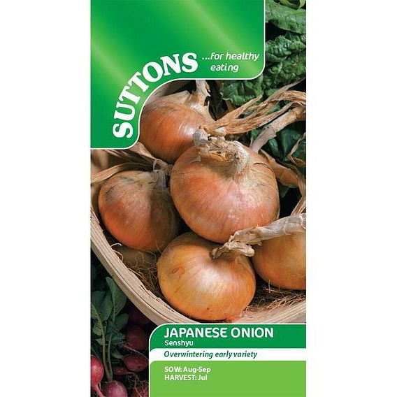 Onion 'Senshyu Semi-Globe Yellow' - Seeds