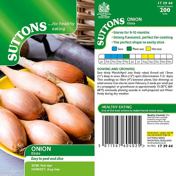 Onion 'Elista' - Seeds