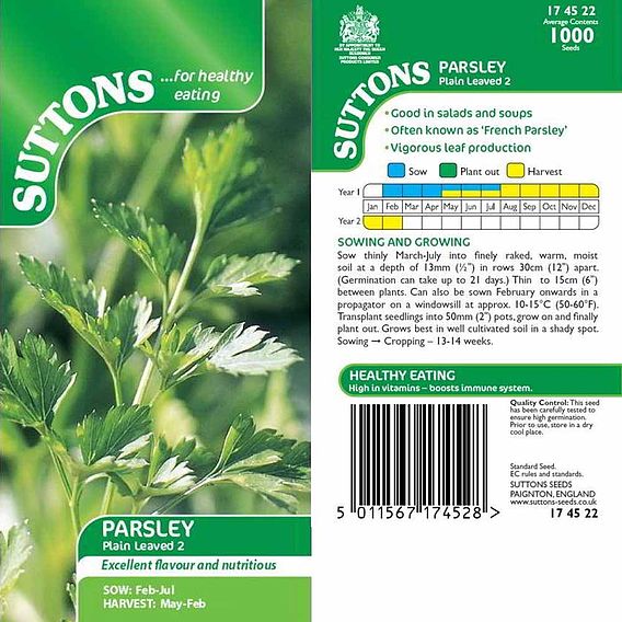 Parsley 'Plain Leaved 2' - Seeds