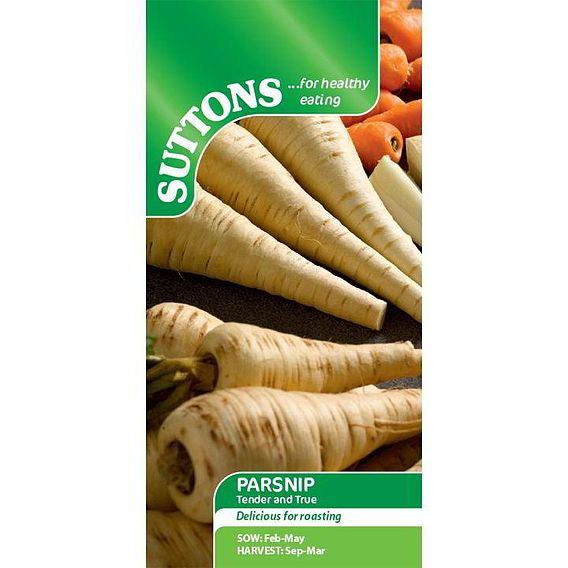 Parsnip 'Tender and True' - Seeds