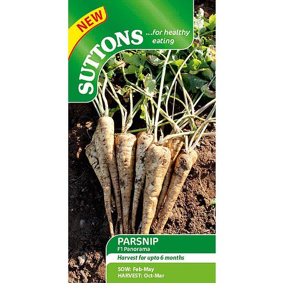 Parsnip F1 'Panorama' - Seeds