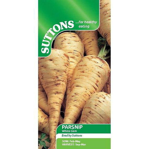 Parsnip 'White Gem' - Seeds