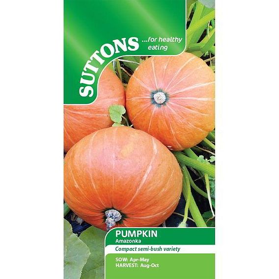 Pumpkin 'Amazonka' - Seeds
