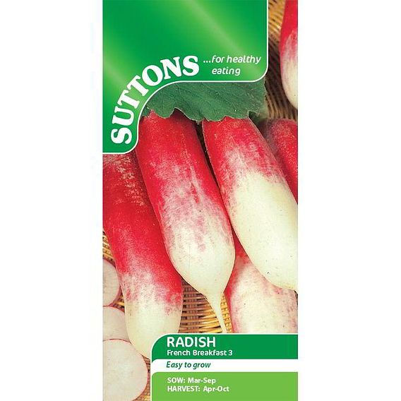 Radish 'French Breakfast 3' - Seeds