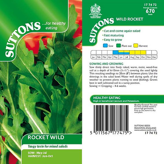 Rocket 'Wild' - Seeds