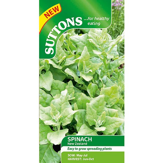 Spinach 'New Zealand' - Seeds