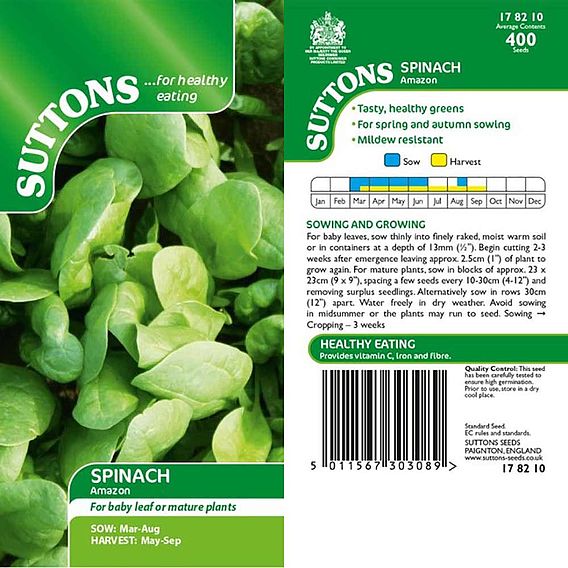 Spinach Seeds - F1 Amazon