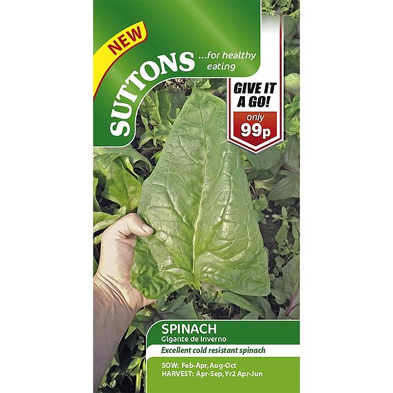 Spinach Seeds - Gigante d'Inverno