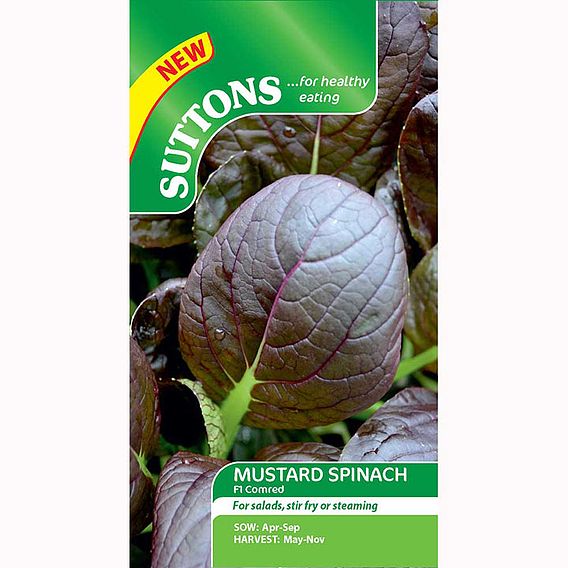 Spinach F1 'Comred' - Seeds