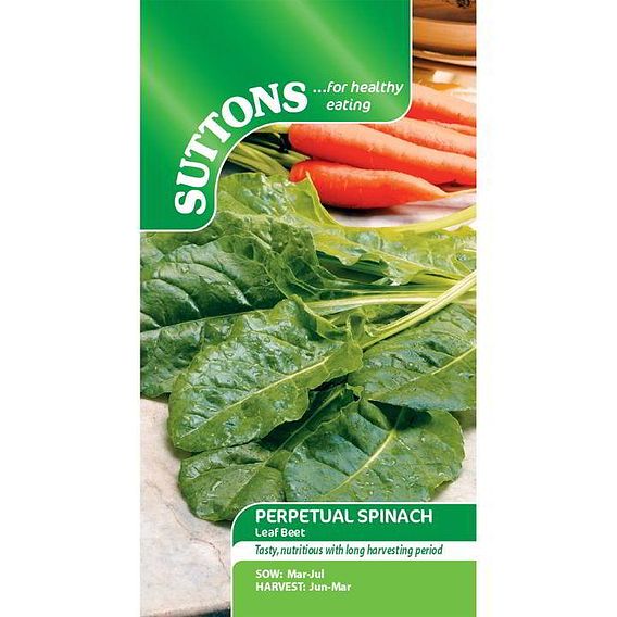 Spinach 'Perpetual Spinach' - Seeds