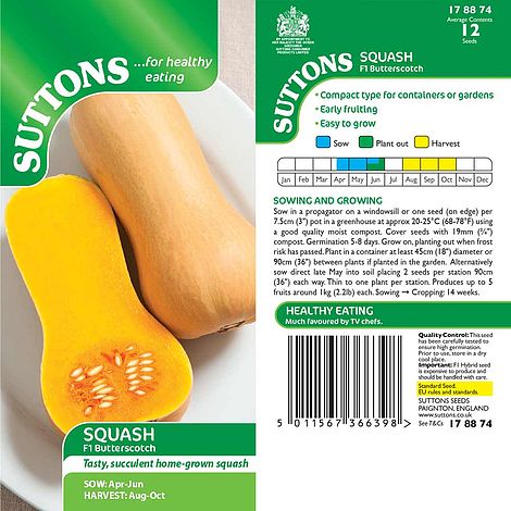 Squash F1 'Butterscotch' - Seeds