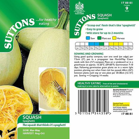 Squash 'Vegetable Spaghetti' - Seeds