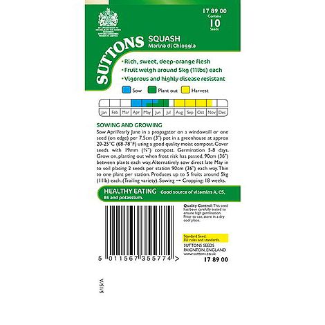Squash 'Marina di Chioggia' - Seeds