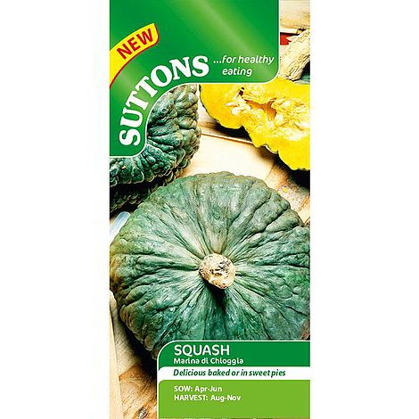 Squash 'Marina di Chioggia' - Seeds