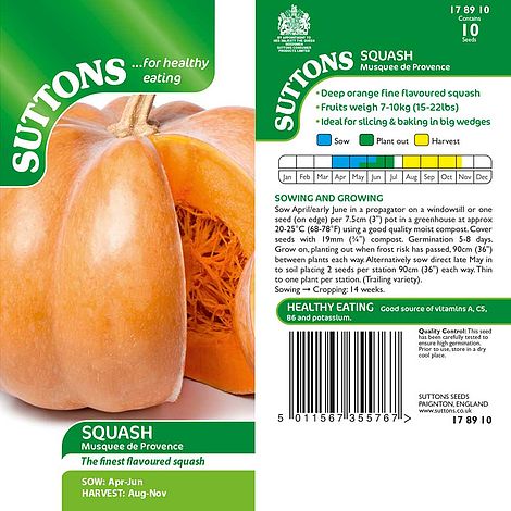 Squash 'Musquee de Provence' - Seeds