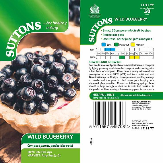 Wild Blueberry - Seeds