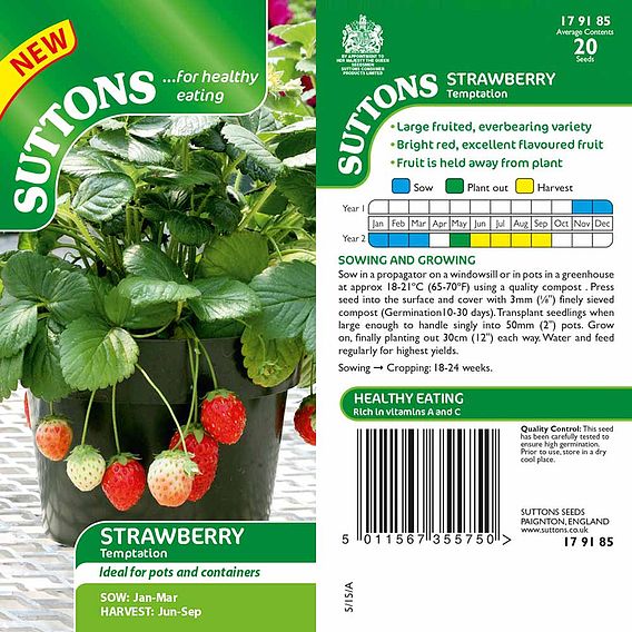 Strawberry F1 'Temptation' - Seeds