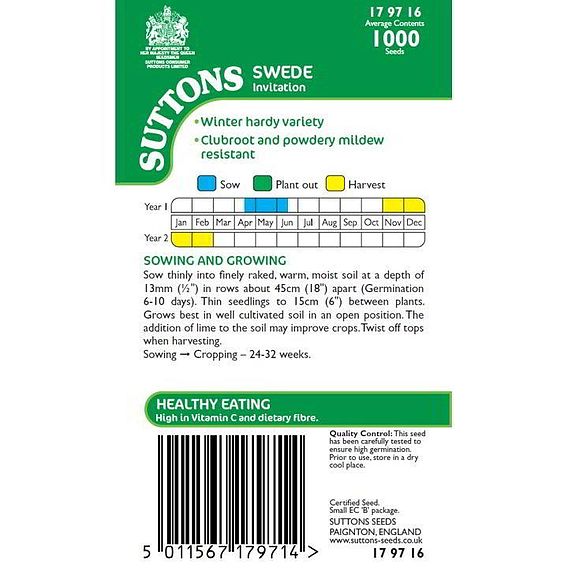 Swede 'Invitation' - Seeds