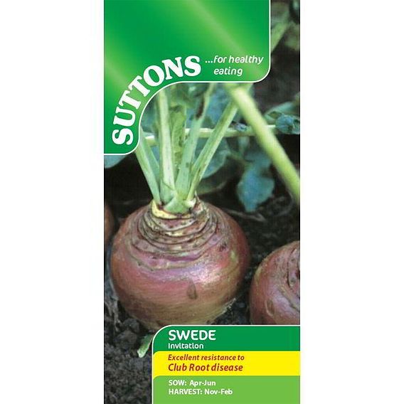 Swede 'Invitation' - Seeds