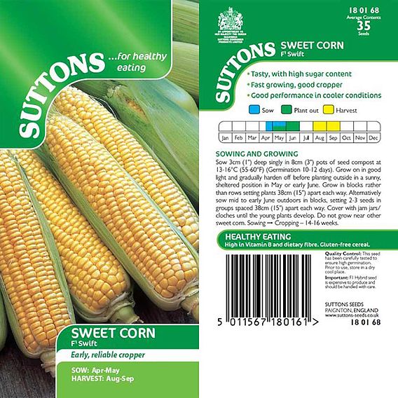 Sweetcorn 'Swift' F1 - Seeds