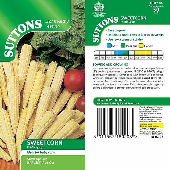 Sweetcorn 'Minipop' F1 - Seeds