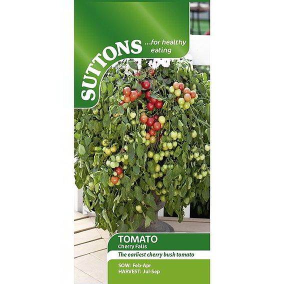 Tomato 'Cherry Falls (Determinate)' - Seeds