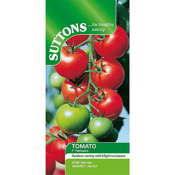 Tomato Seeds - F1 Fantasio (Indeterminate)