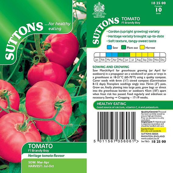 Tomato Seeds - F1 Brandy Boy