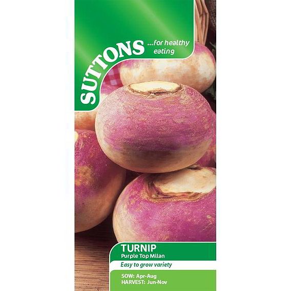Turnip 'Purple Top Milan' - Seeds