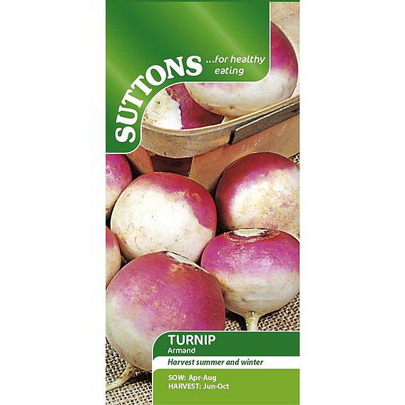 Turnip 'Armand' - Seeds
