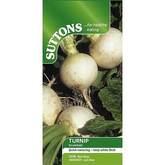 Turnip 'Snowball' - Seeds